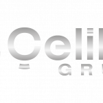 celikler_grup-gumus-02